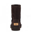 UGG Mens Classic Short II Chocolate